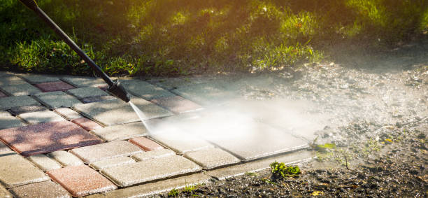 Best Soft Washing  in Parlier, CA